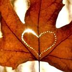 Herfst